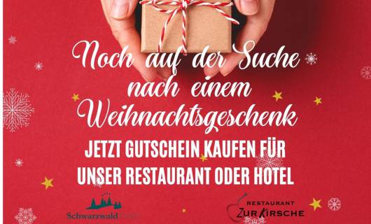 Auf der Suche nach einem Weihnachtsgeschenk?