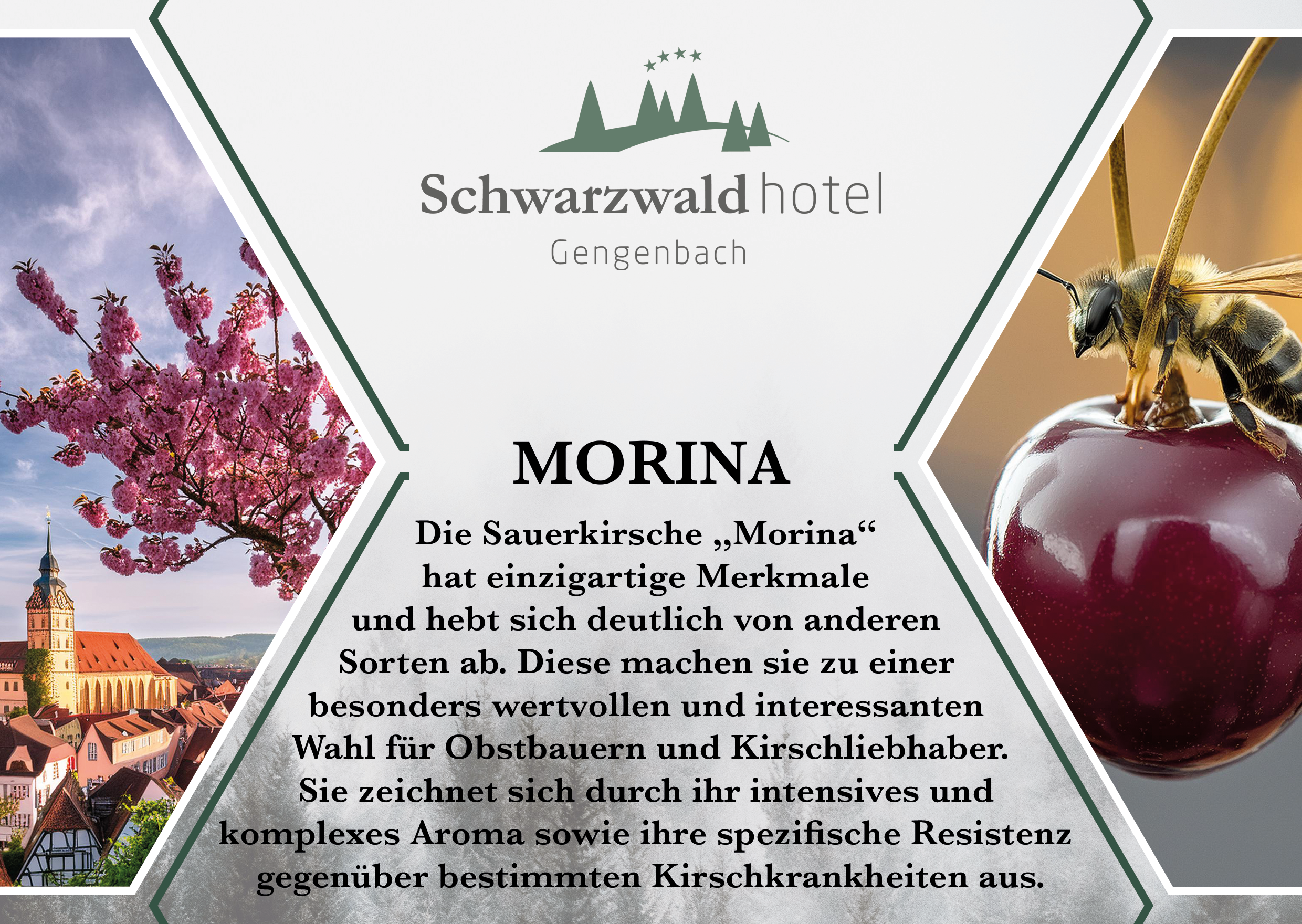 Tagungsraum Morina im Schwarzwaldhotel Gengenbach
