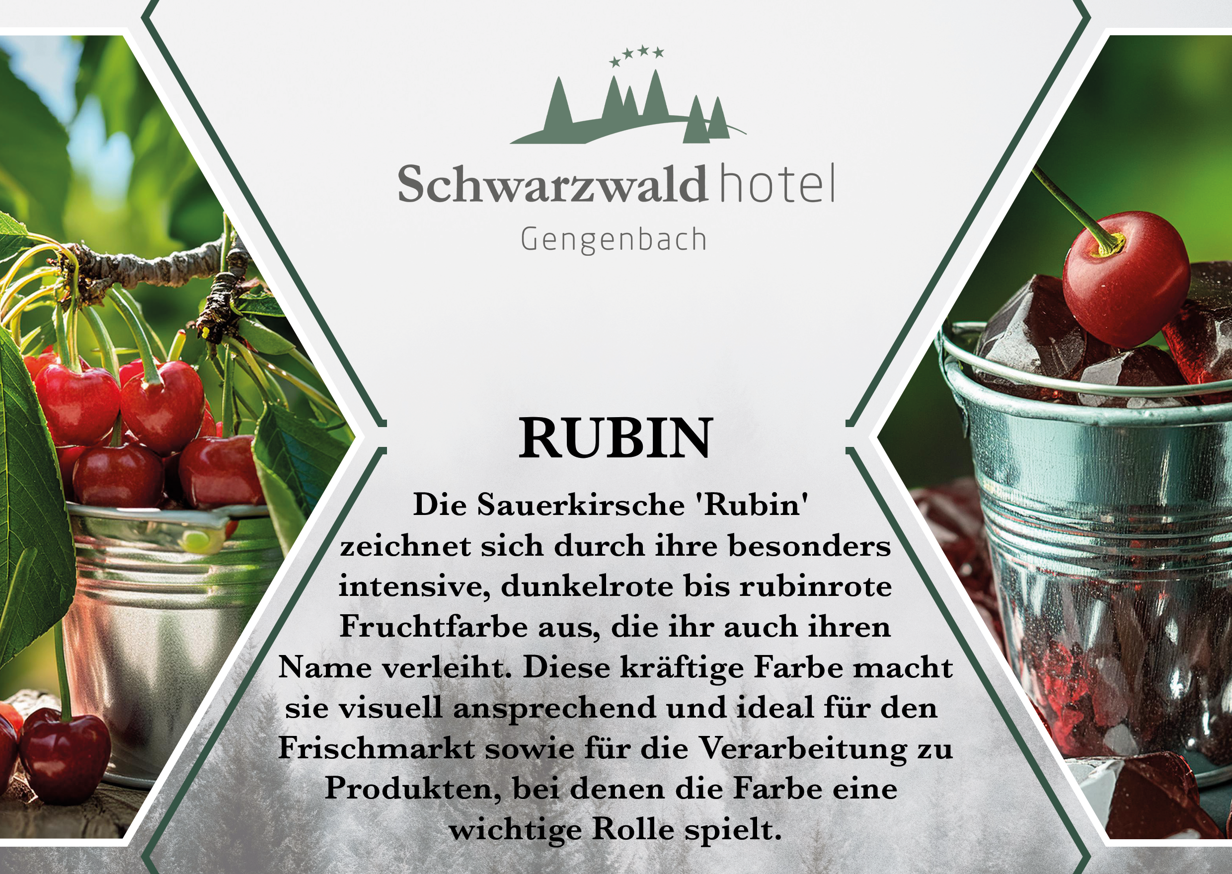 Tagungsraum Rubin im Schwarzwaldhotel Gengenbach