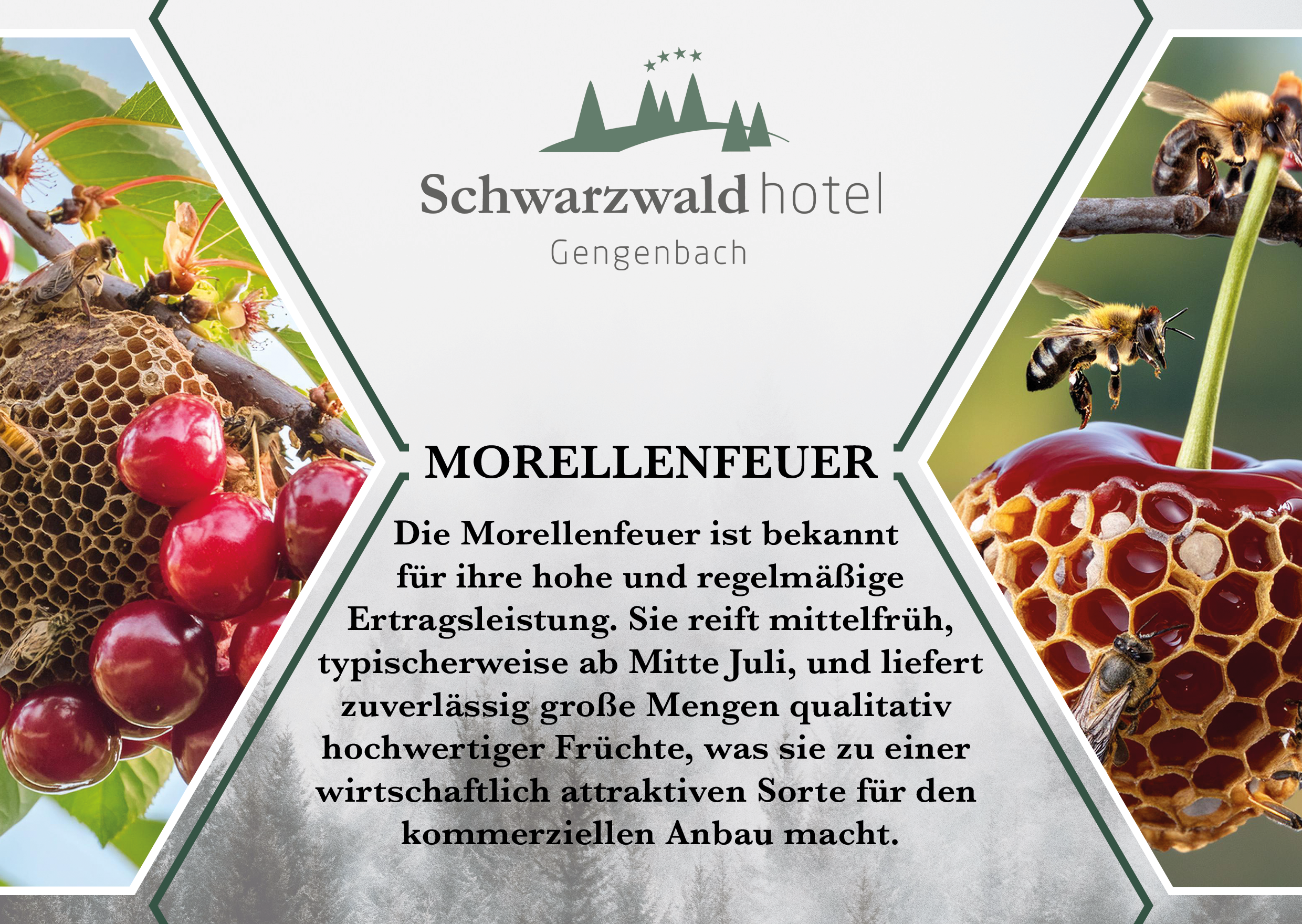 Tagungsraum Morellenfeuer im Schwarzwaldhotel Gengenbach
