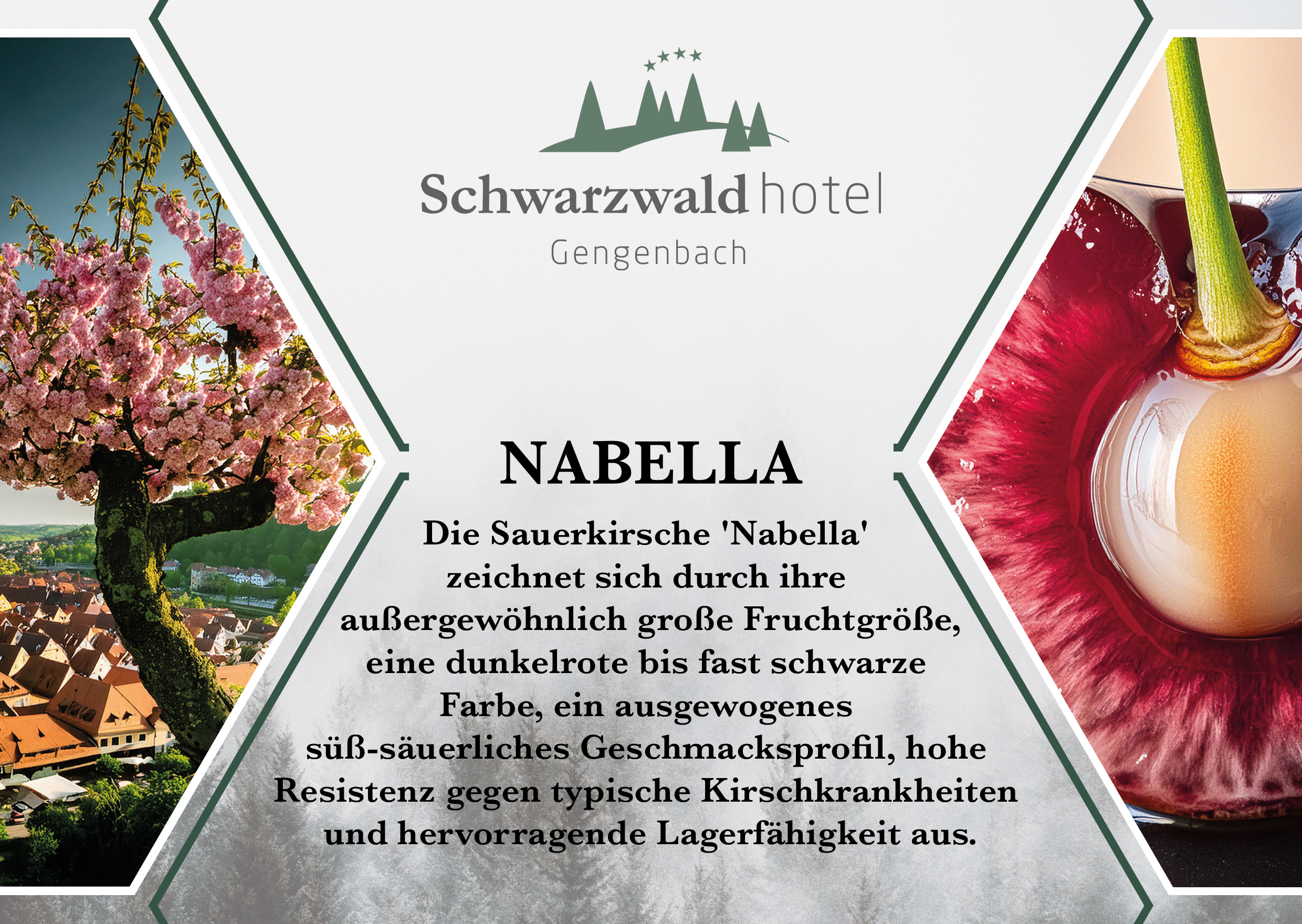 Tagungsraum Nabella im Schwarzwaldhotel Gengenbach